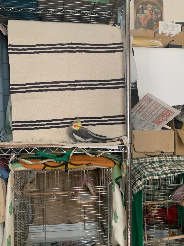 なつ:居眠り警備員