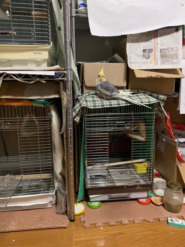 ちょこの居場所