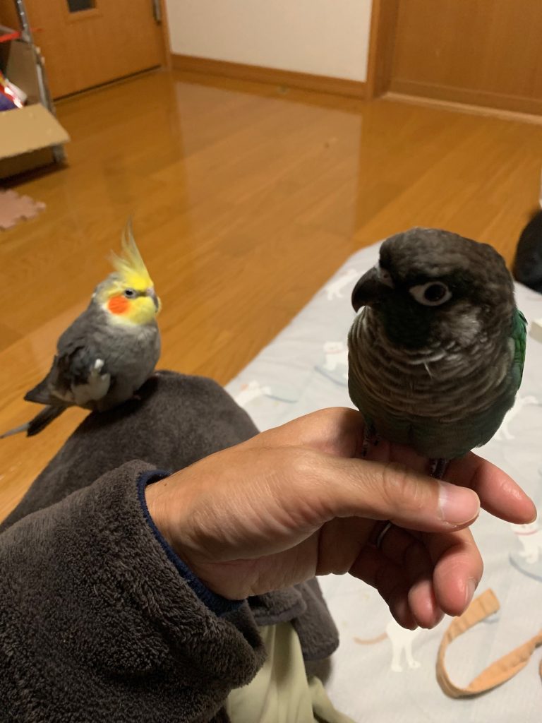 image_satsuki-and-natsu