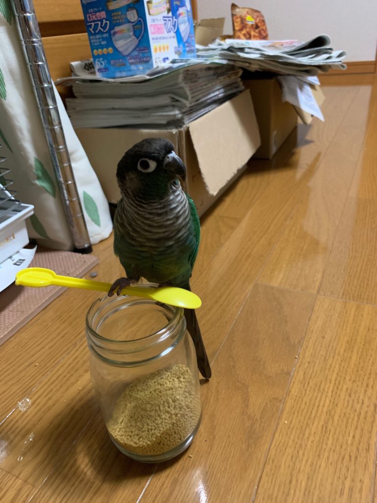 スプーンを握るさつき