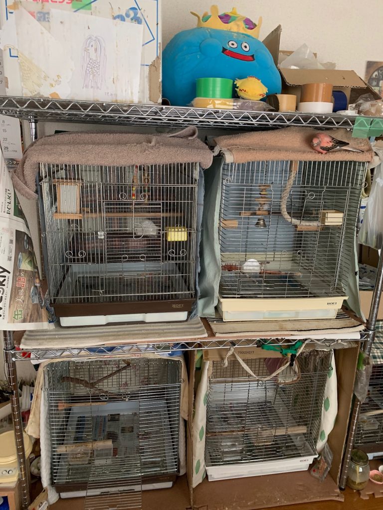 あっちゃんのお気に入り1