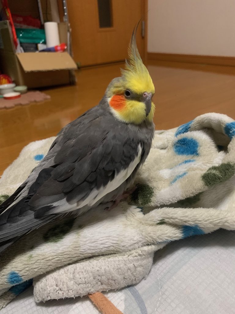 なつの休憩タイム