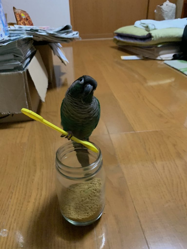 スプーンを持ち上げるさつき1