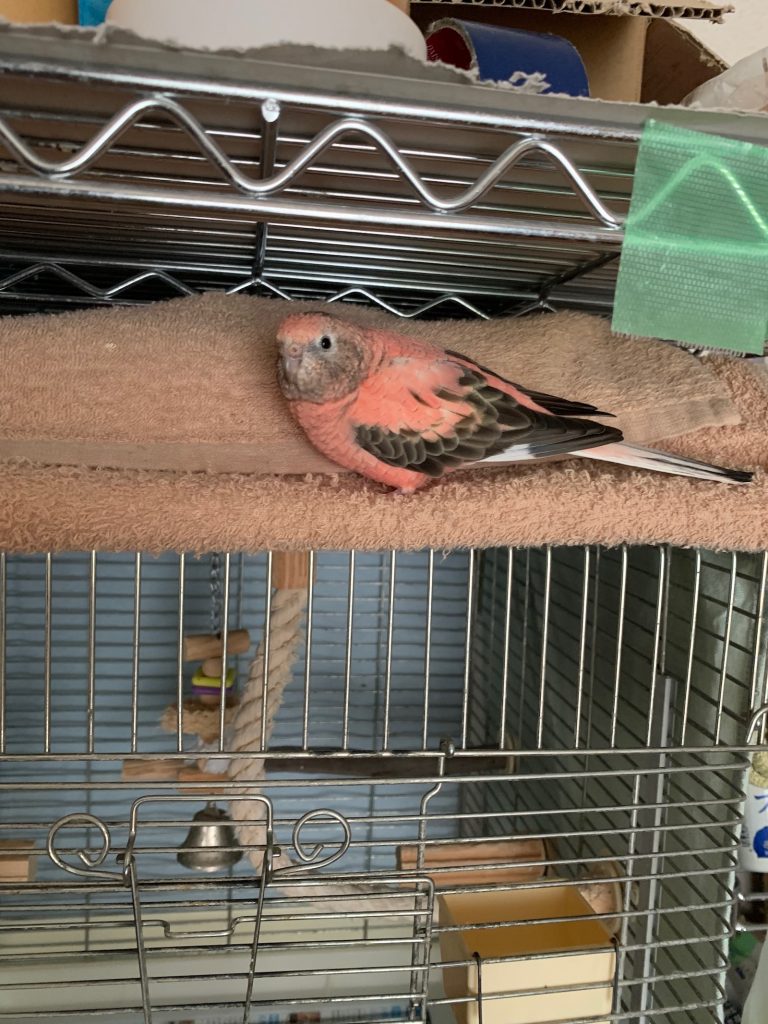 あっちゃんのお気に入り2