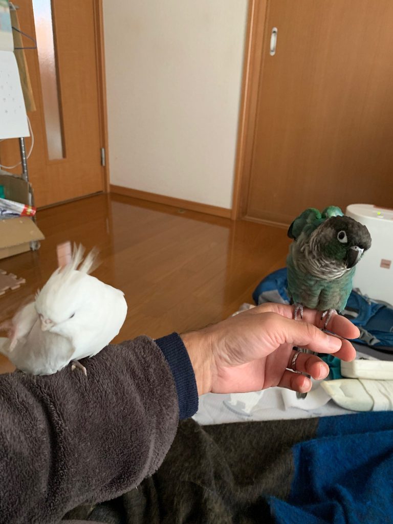 さつきとこゆきのくつろぎ