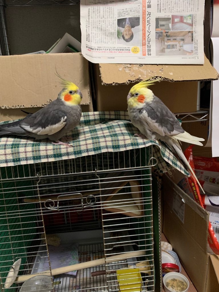 距離が近い２人