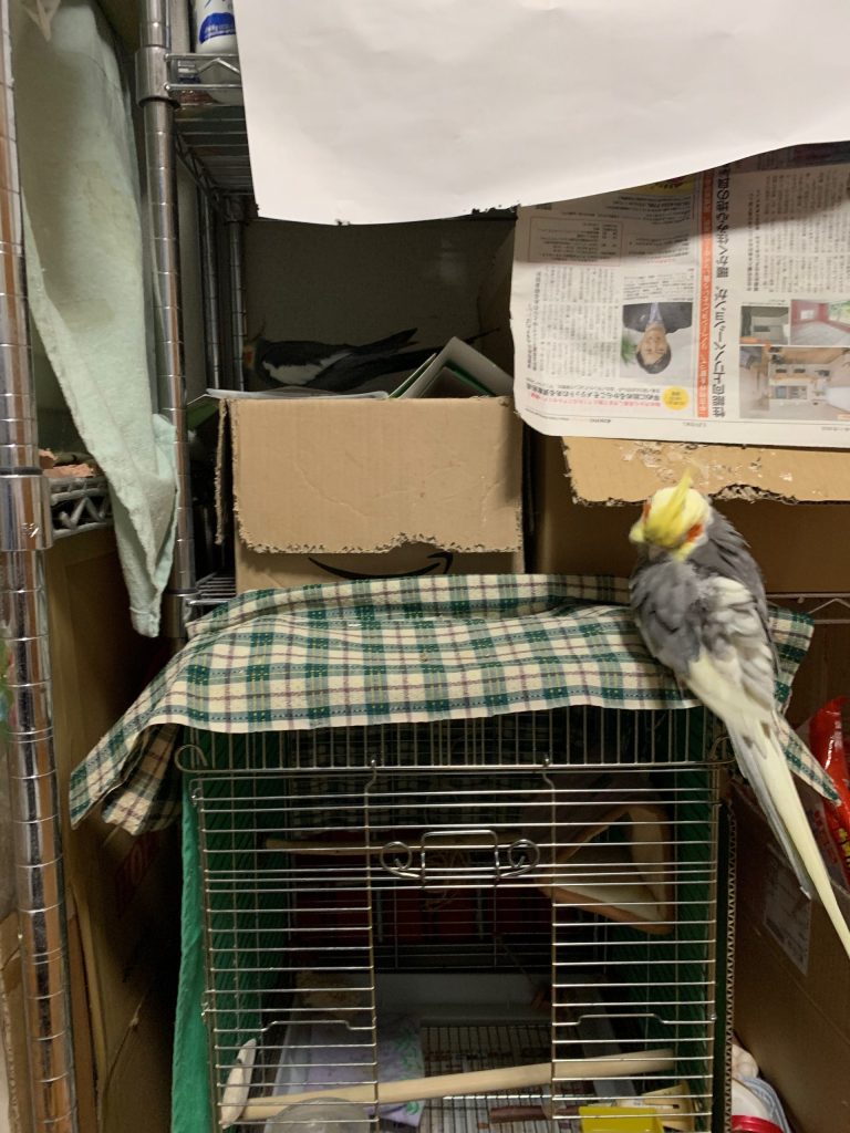 奥地を開拓中のなつ