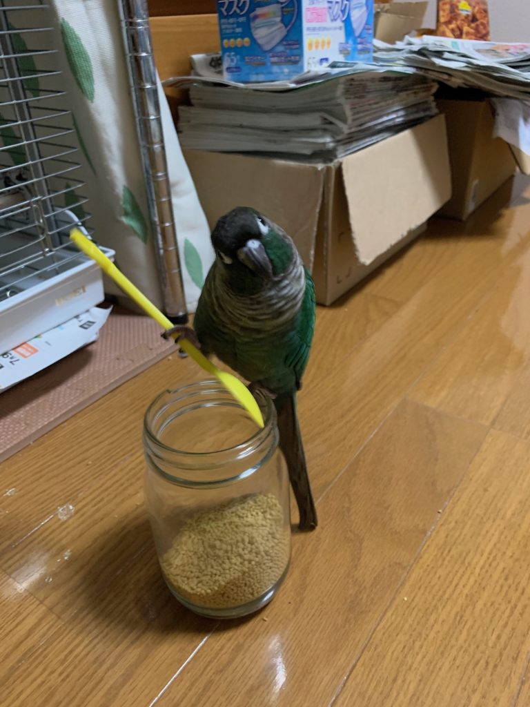 スプーンを持ち上げるさつき2