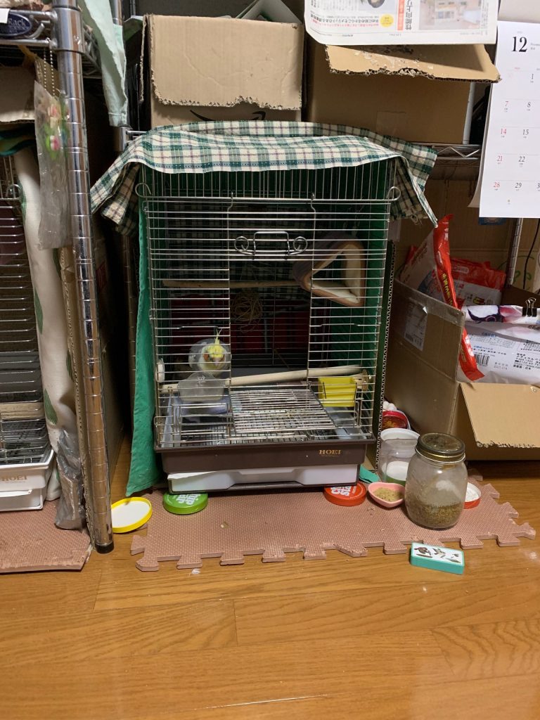 つまみ食いちょこ