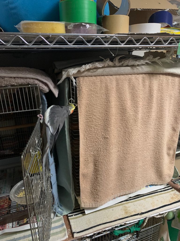 なつ:場所変えチラ見