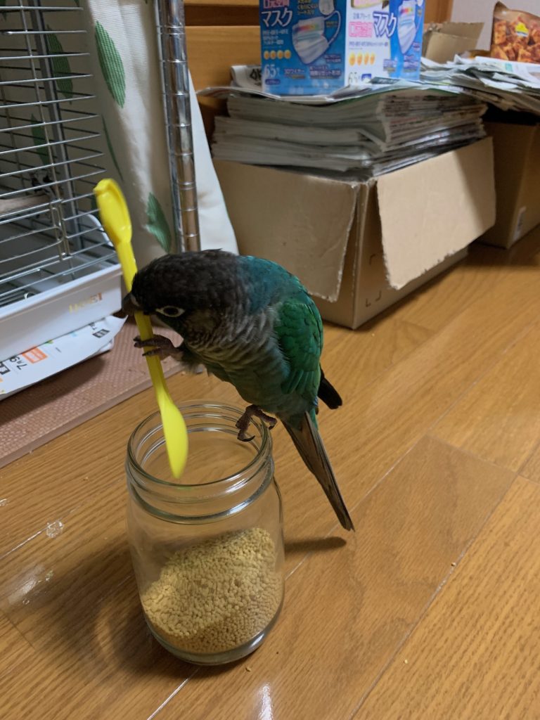 持ち上げたスプーンを齧るさつき