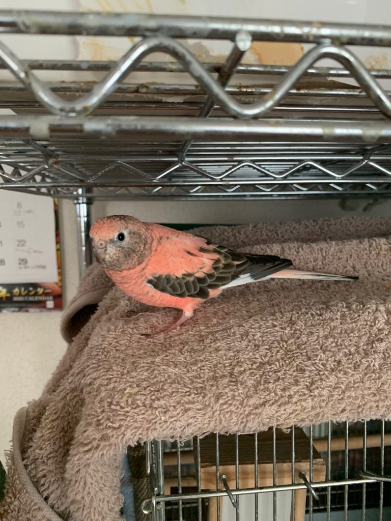 あっちゃんのお気に入り3